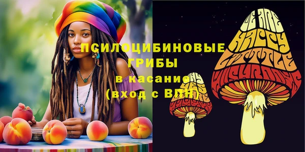 марки nbome Новодвинск