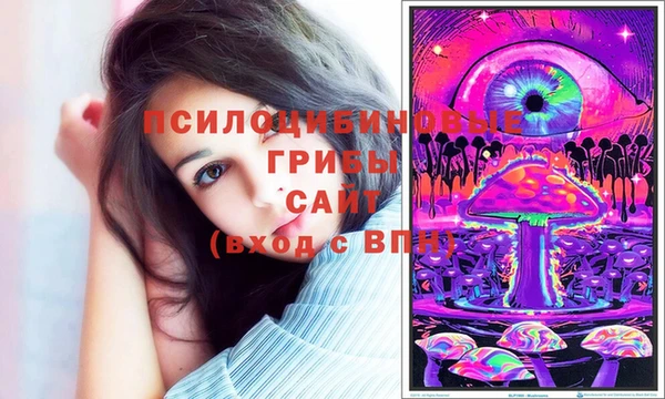 a pvp Новокубанск