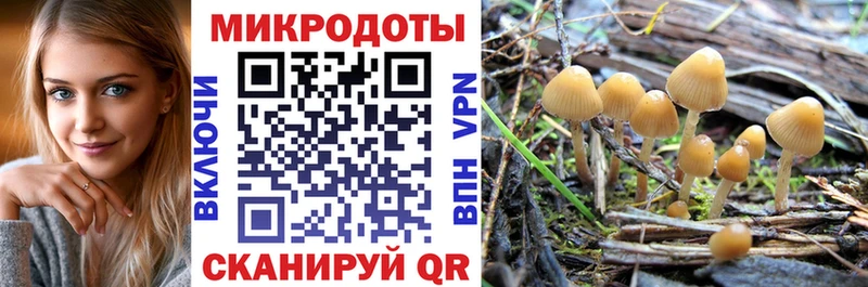 Псилоцибиновые грибы мухоморы  наркошоп  Дмитриев 